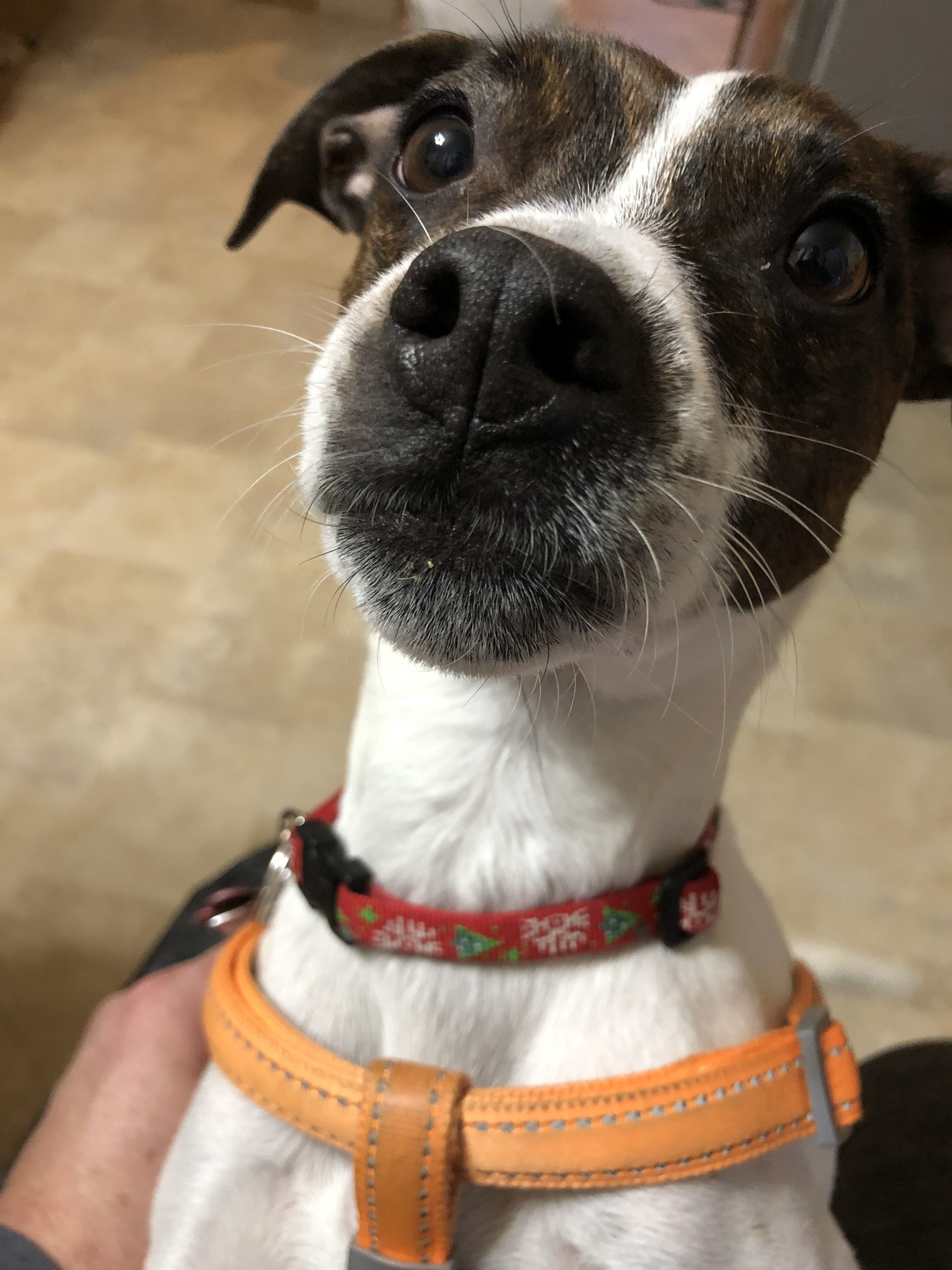Fritz — The shop supervisor.