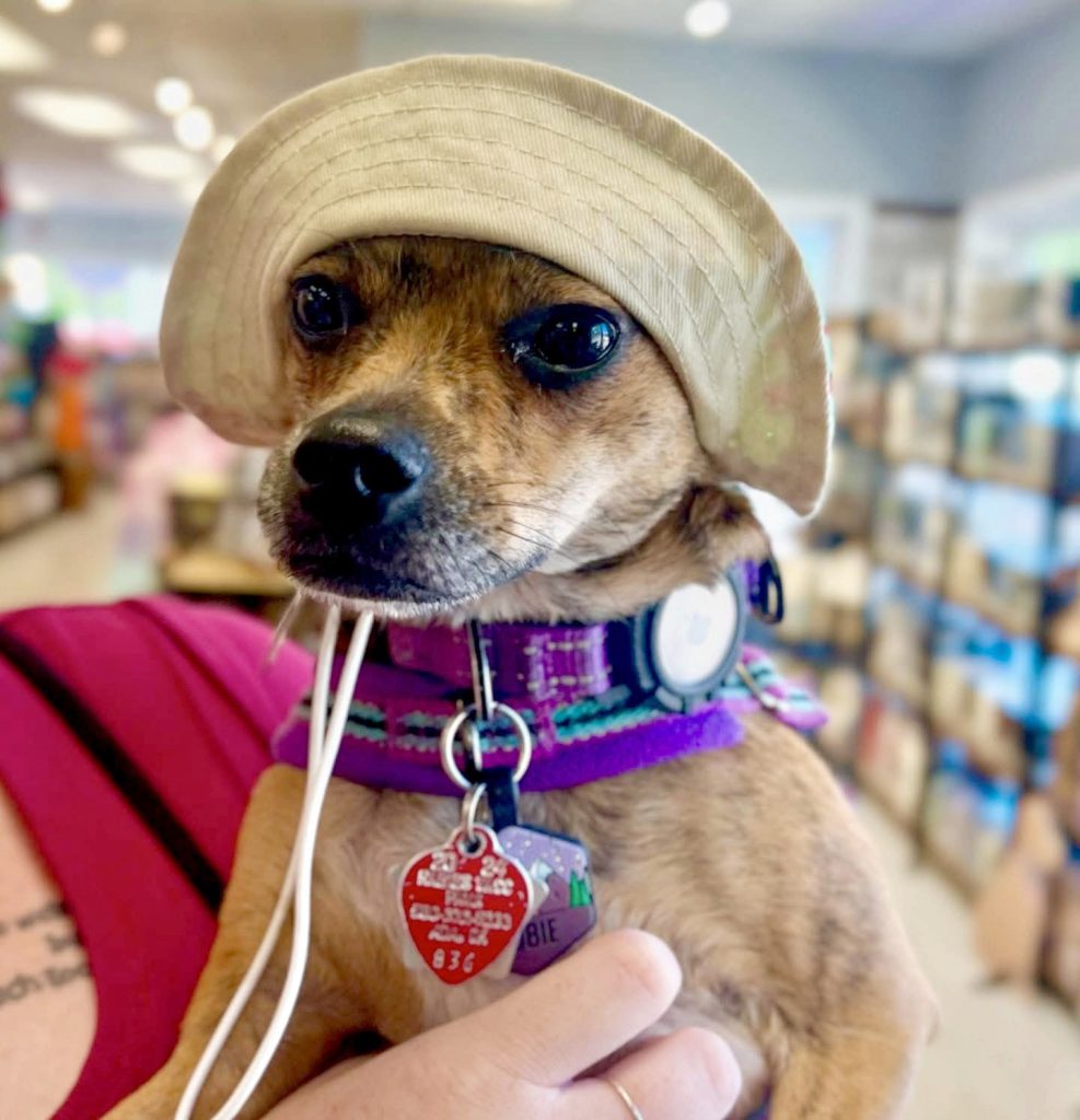 Cobie wearing a hat