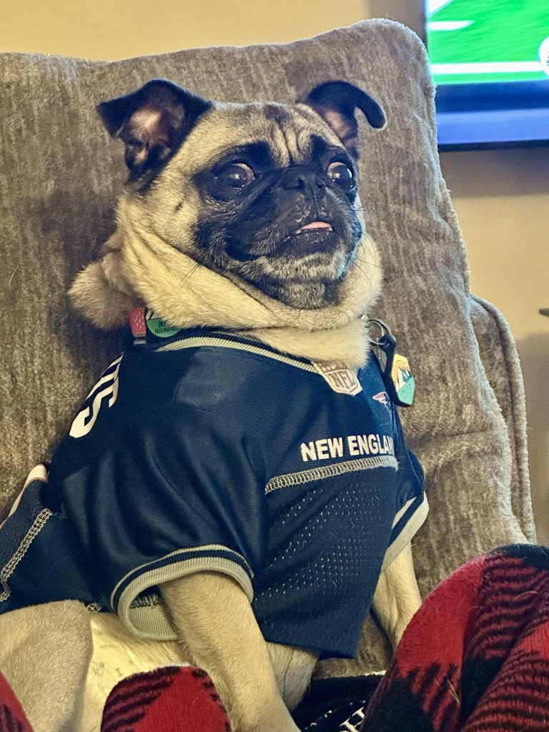 Dexter wearing Patriots gear